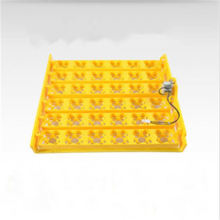 High Capacity Egg Tray Incubator With Sturdy